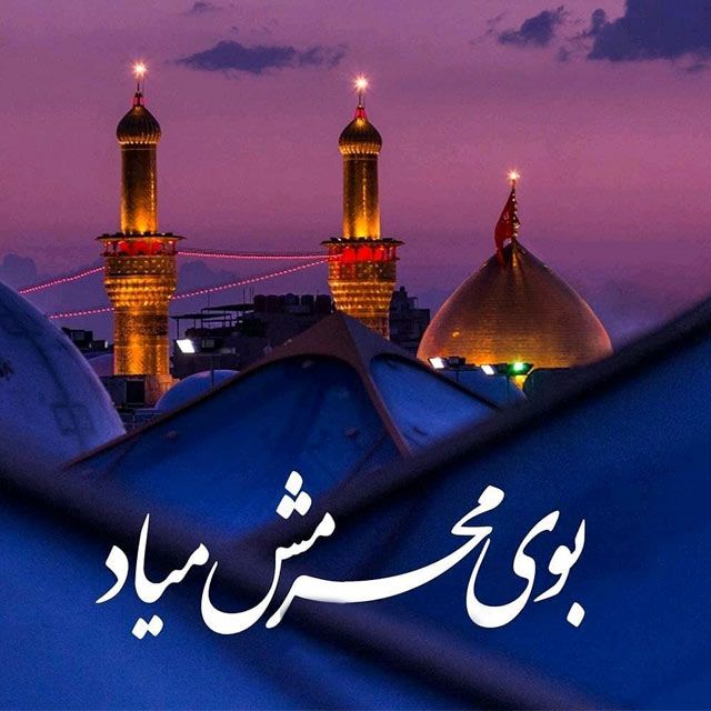 عبدالرضا هلالی روزگارم روزگار نوکری بود خرابش کردم